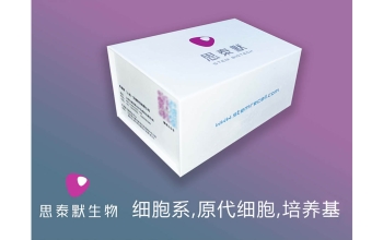 es2细胞（人卵巢透明细胞癌细胞）