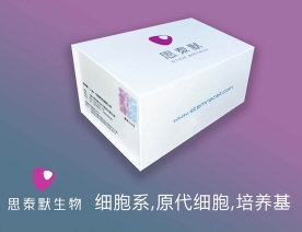 人脐带血内皮祖细胞（原代内皮祖细胞）