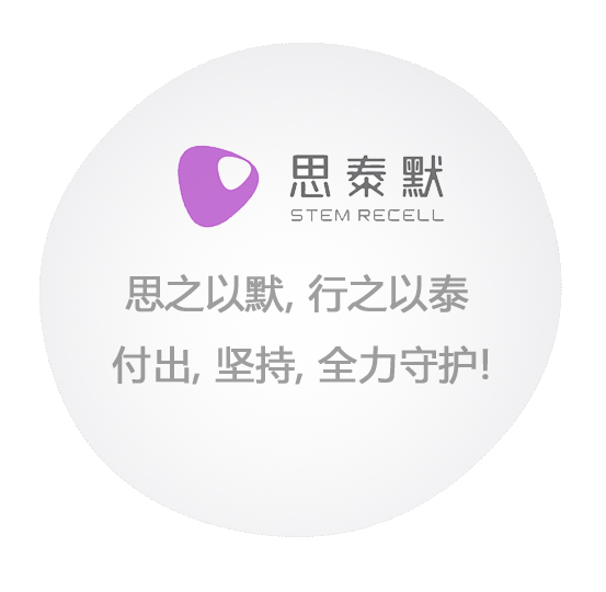 关于思泰默